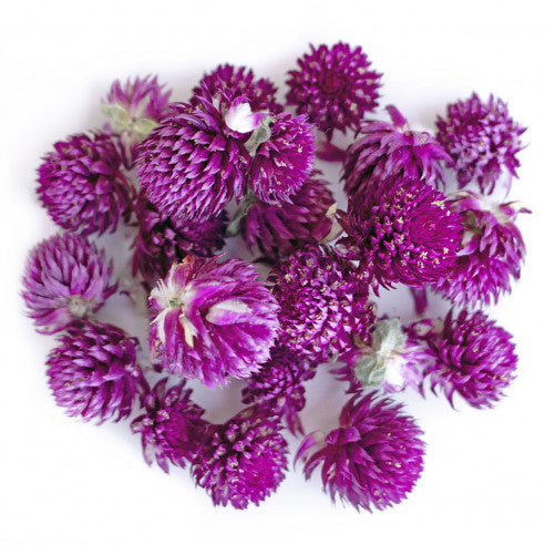 Purple Globe Amaranth 1 kg